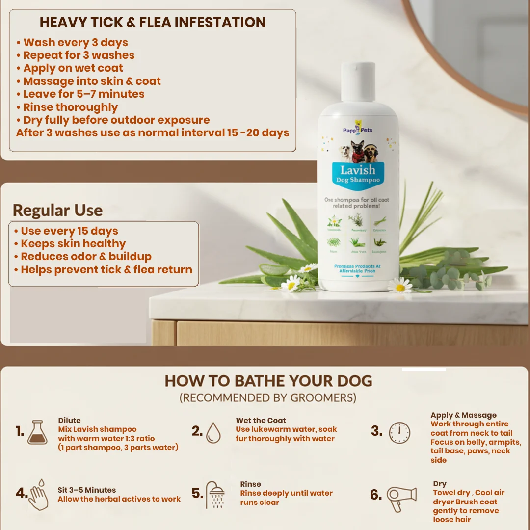 LAVISH Dog Shampoo image 4